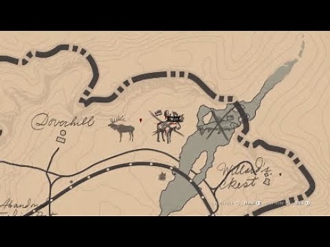 Red Dead Redemption 2 all 4 berry species locations * SPOILER *