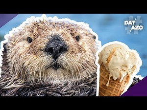 La VAINILLA viene del C%L0 del CASTOR (y otros 9 mini datazos) | #DATAZO