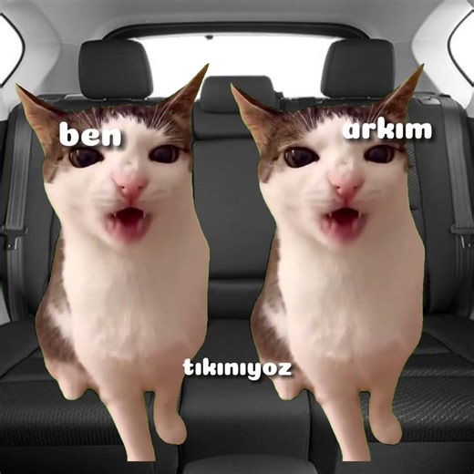 Caldimmm ama cr verdim #ytdayibenionecikarnolur