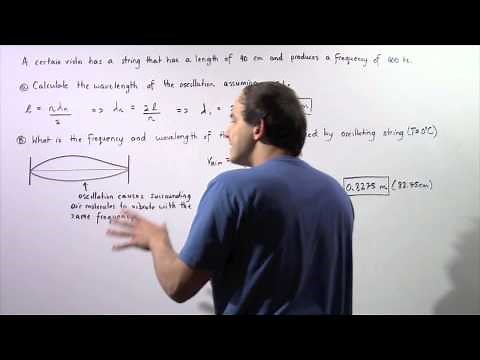 Stringed Instrument Example