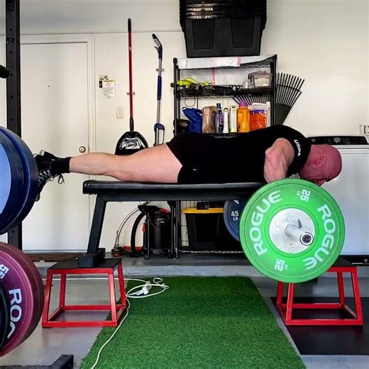 Seal Rows Are Amazing For Building Your Middle & Upper Back