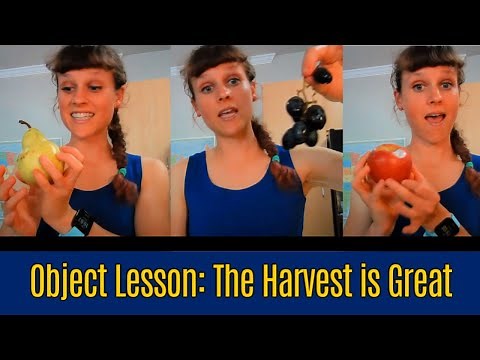 Children's Message: Harvest Disciples (Matthew 9:35-10:11) Object Lesson on Evangelism