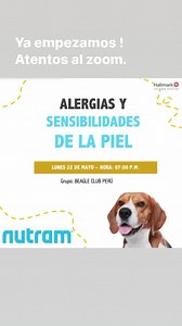 Beagle Club Perú on Reels