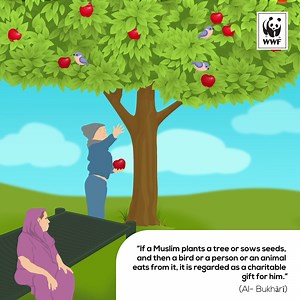 This Ramzan help WWF plant a tree in your name as sadqa-e-jaariah. Donate to plant your tree today. | WWF-Pakistan
