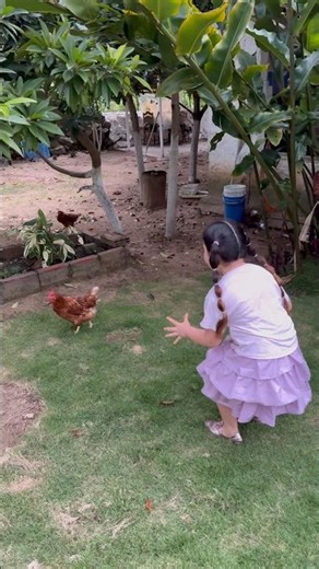 HE WANTS A PET CHICKEN 🐓 😂🤣 #youtubeshorts #humor
