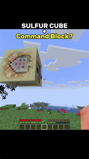 Minecraft Sulfur Cube Absorbs a Command Block! #minecraft