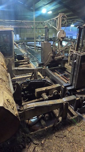 Life as a Sawyer: Running a Successful Sawmill Business
