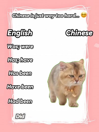 English Grammar vs Chinese Grammar: Understanding Differences