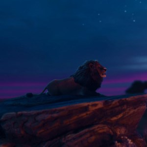 26K views · 820 reactions | Did our canned hunting animation make you feel sad, angry, surprised, disappointed or a combination of these emotions? If it had any impact on you, please vote for it in the Charity Film Awards to help us reach even more who don't know this barbaric act exists: https://charityfilmawards.com/videos/born-free-the-bitter-bond | Born Free Foundation | Facebook