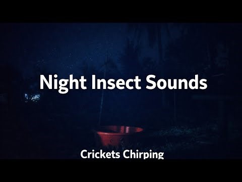Peaceful Night In The Countryside | Relaxing Insect Sounds For Sleep & Calm