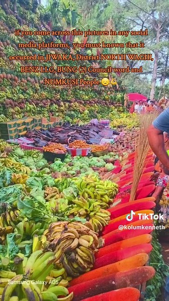 Killing Incident at Waigani Market: Latest Updates