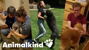 Watch these dogs do a happy dance when they see their owners again