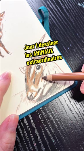 Dessiner les ANIMAUX EXTRAORDINAIRES : le saola