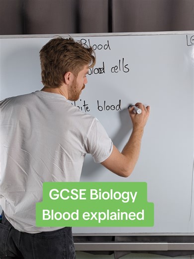 GCSE Biology - Blood explained #joedoesbiology #myedspace #biology #gcse #myedspacebiology