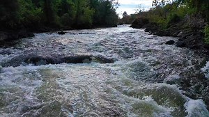 1.8K views · 59 reactions | Spring is here - take time to enjoy the Appomattox River Trail at Campbell's Bridge in Petersburg! Take a look and head to the river for an enjoyable walk. | Petersburg VA | Facebook