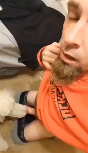 Getting tender and satisfying #furry #zoo uploads at 25% off any experience package for Early bird's 🕊💯 and returning members.Explore revised benefits and activities on telegram or discord👇👇❤️https://t.co/XaQ4Eve4Cvhttps://t.co/XaQ4Eve4Cv