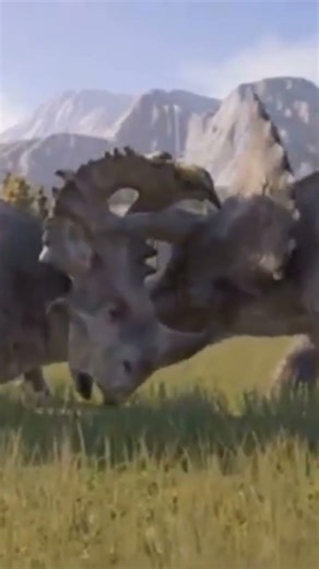 sinoceratops vs triceratops