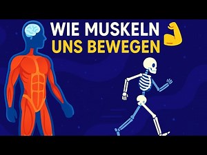 Muskeln und Bewegung erklärt: Was passiert in deinem Körper?