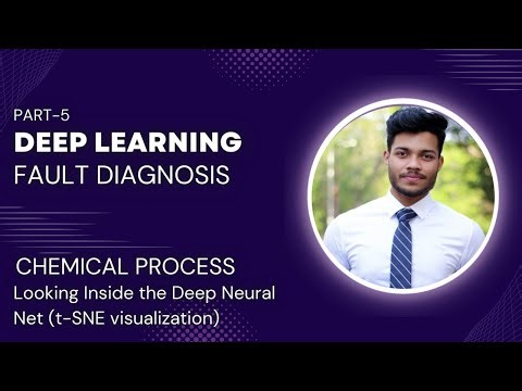 Exploring Learned Representations: Visualizing and Interpreting Neural Net's Embeddings
