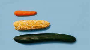 Bilder verkleinern & komprimieren – Computer, App, online