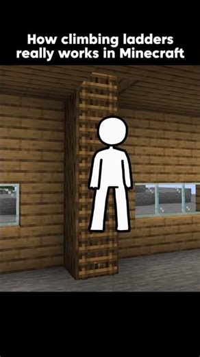 Minecraft ladders are physics-defying elevators 🙏😭