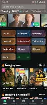 Can This Love Be Translated In Hindi Dubbed|Watch free|Full deatils how to watch in hindi dubbed