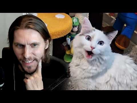Jerma Gets a Cat