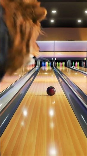 A lion bowls a strike! Bottle pins explode in a splash! 🦁🎳🥤 #bowling #lion #strike