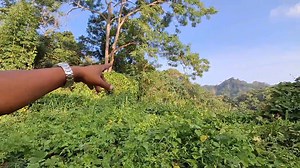 Day 2 || Taking Geo Co-ordinate of Kurbalovasora Supply Reserve Forest #forest | Doyeh Gor