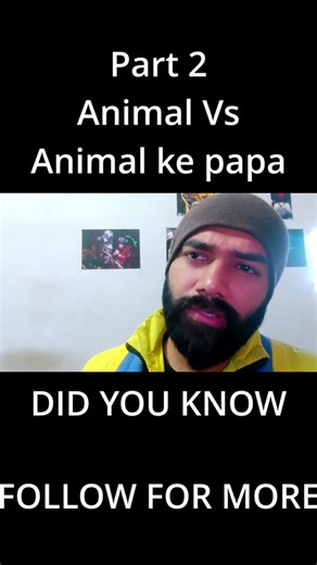 1 animal pitch meeting script meeting 2