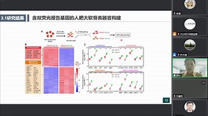 20241029-南方医科大学魏小翠-基于人类器官高通量药物筛选策略促进软骨再生