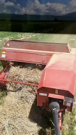 Forage Harvesting Process Using Agricultural Machinery