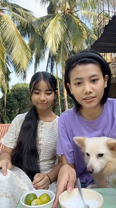 Savoring some calamansi with my cousin 😄 As I mentioned in the caption of my previous video, I use the word calamansi because it’s the name most people recognize, and many people aren’t familiar with the other names for this fruit. I’ve even always used the word calamansi myself 😊 The fruit is called calamansi in Filipino, calamondin in English (though calamansi is also used in English as a borrowed term), and Me•mang Narang in Garo. I’ve also explained everything about calamansi in the pinned