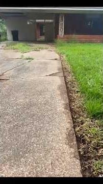 Abandoned House Took Over the STREET… So I Fixed It 😳 #lawnmower #lawncare # #cordlesslawnmower