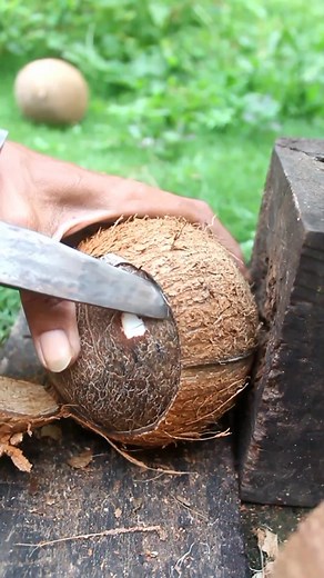 Amazing performance removing coconut from its shell | Handika Amiranto