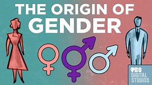 The Origin of Gender | Origin of Everything