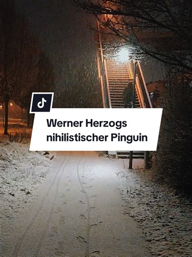 Inspirierender Pinguin in Werken von Werner Herzog