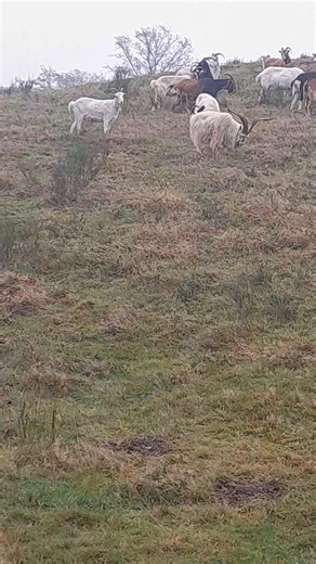 Michael Christensen on Reels