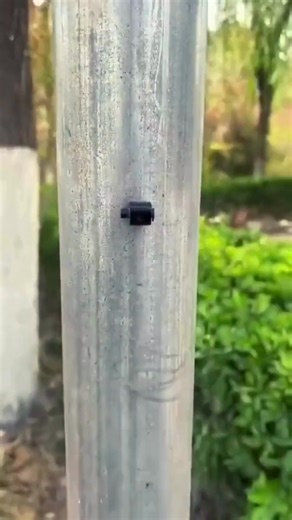 This Tiny Spy Camera Can Record Anything Secretly! 😱 #spycamera #camera | Gadgetxplore