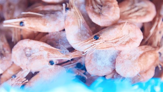 If You Sneak A Peek At Your Frozen Seafood, You Just Might Spot It’s Glowing