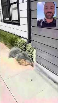 How We Install Well Lights In Hardscape | Oregon Outdoor Lighting