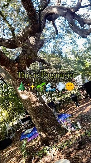 What is Paganism? 🌱#nature #paganism #spirituality