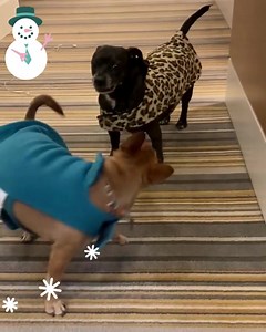 Come on mom, it’s a snow ⛄️ day!!! | Direct Liquidation