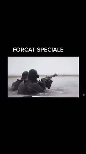 Inside Special Forces Tactical Training Activities