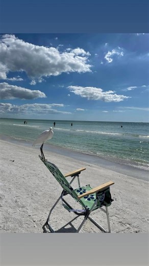 Siesta Key 2 years ago | Stephanie Boydston