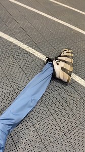 383K views · 4.3K reactions | Halfcourt basketball cheat code (this is real) #basketball | Mrbeardeddragon | Facebook