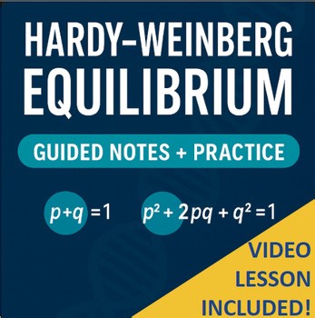 AP Biology Hardy–Weinberg Equilibrium Guided Notes & Practice   Video & Key