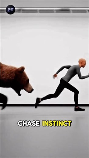 Why You Should NEVER Run From a Bear | #shortsfeed #shorts