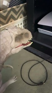 Rexy and pals part 30