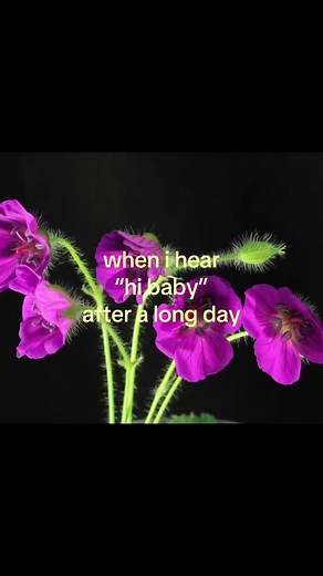Purple Rain reaction: 'When I hear